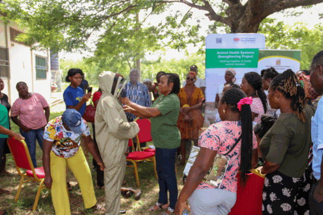 World Bee Day 2025: UK-Ghana bee partnership buzzes with innovation and empowerment